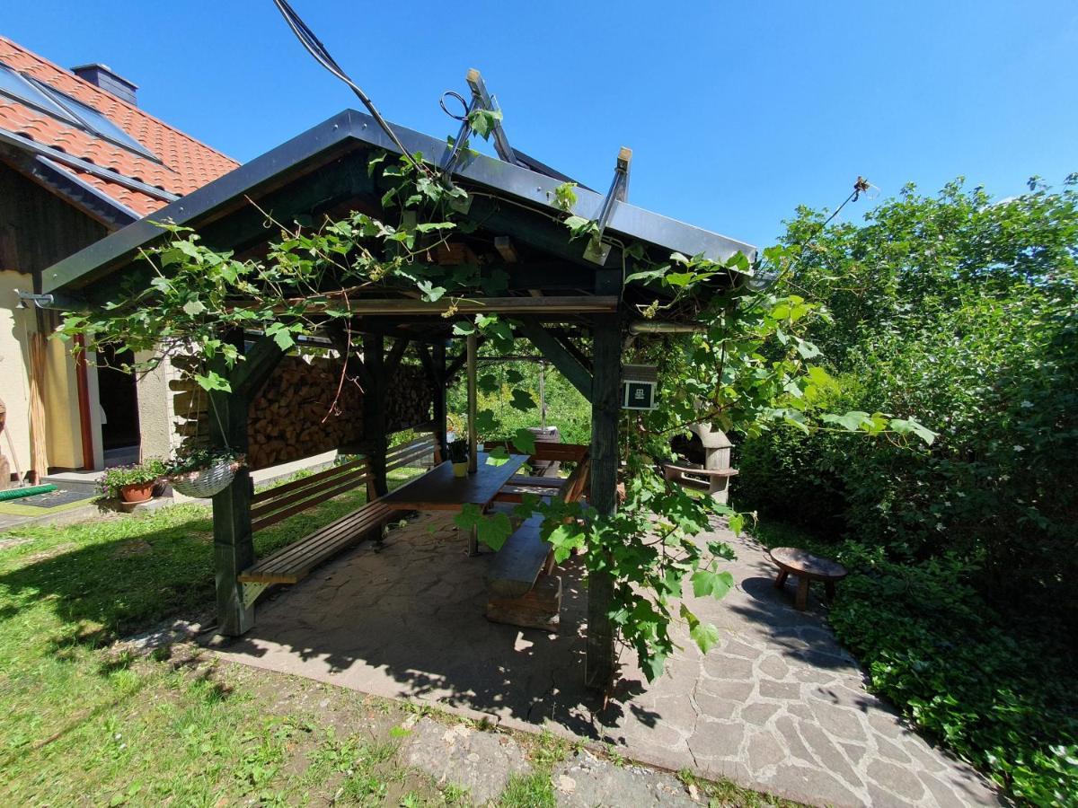 Das Gruene Haus Am Hexenstieg Rubeland Kültér fotó