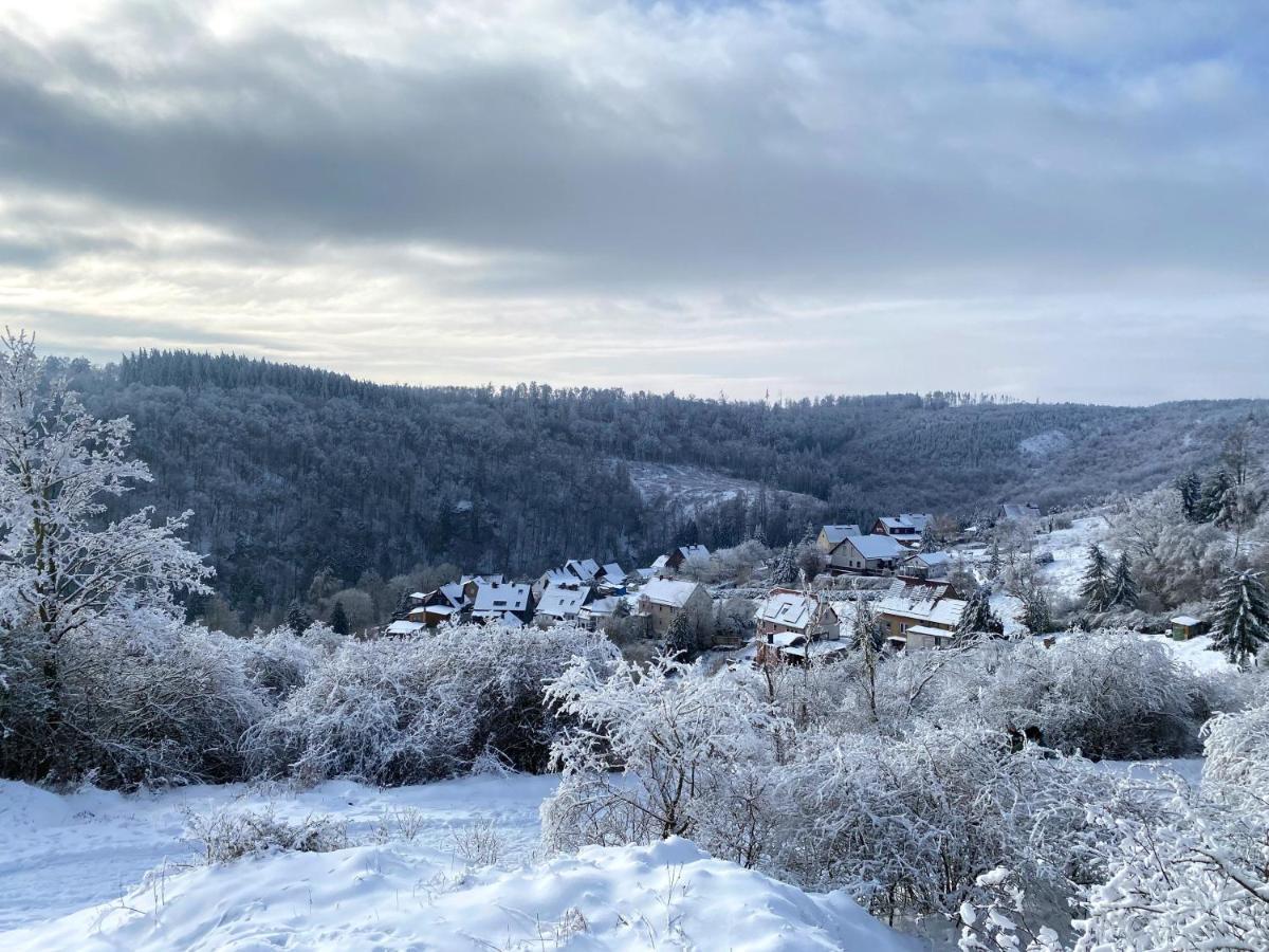 Das Gruene Haus Am Hexenstieg Rubeland Kültér fotó