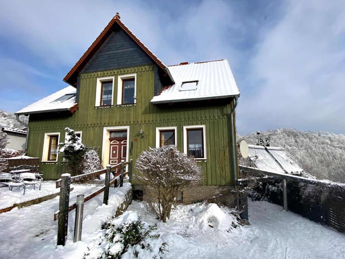Das Gruene Haus Am Hexenstieg Rubeland Kültér fotó