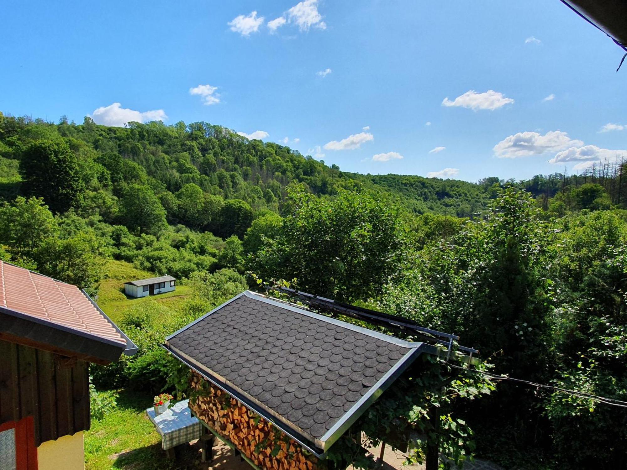 Das Gruene Haus Am Hexenstieg Rubeland Kültér fotó